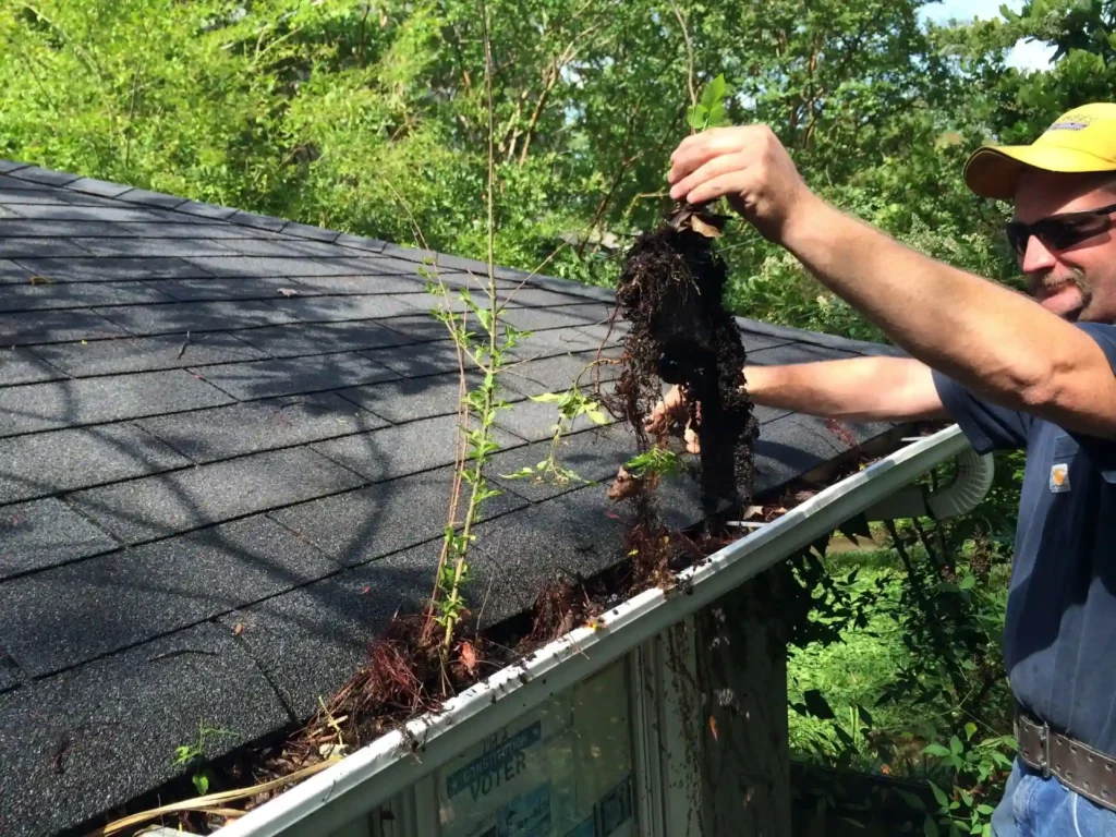 gutters cleaning services Cleaning