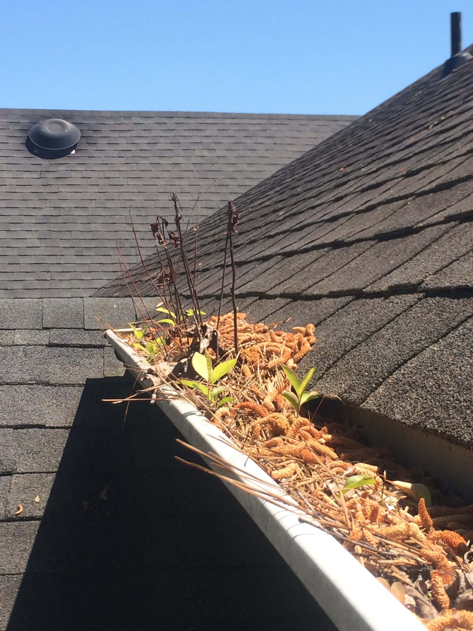 Gutter-Cleaning-Athens-Al